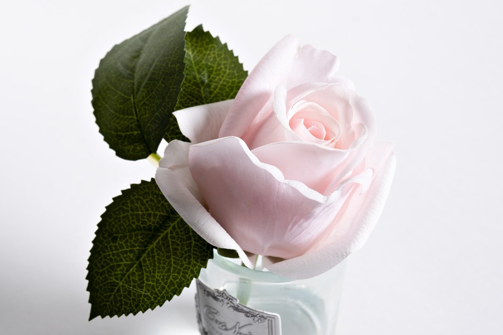 Диффуз.Rose Bud French Pink,спрей White Gardenia 96СN-R46